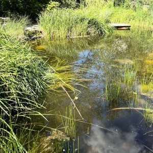 Gartengestaltung